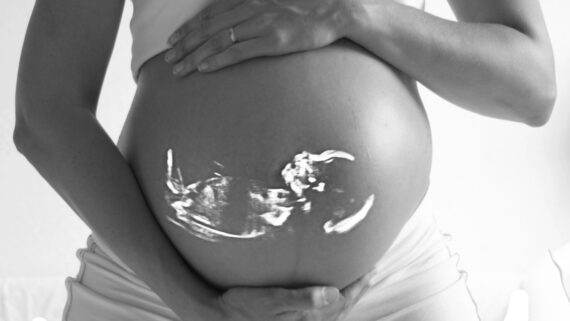 Zweites Trimester Entwicklung des Babys und des Körpers